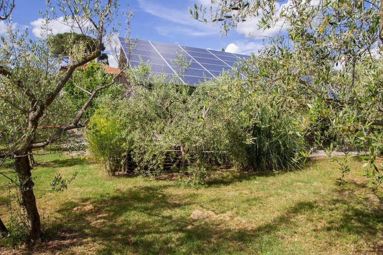 Casa Pupa- Azienda Fontelunga Villa Cortona Farm stay